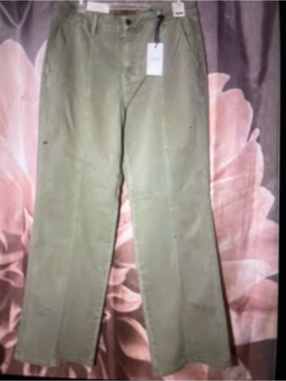 Judy Blue Olive Green Chinos - Straight Leg NWOTS